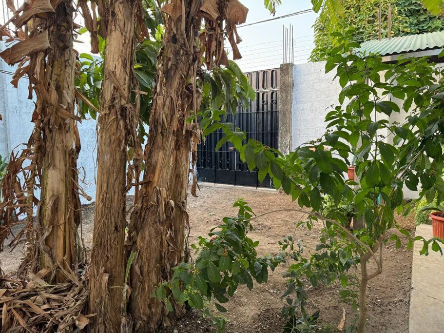 Casa Privada Con Terraza Villa Puerto Maldonado Buitenkant foto